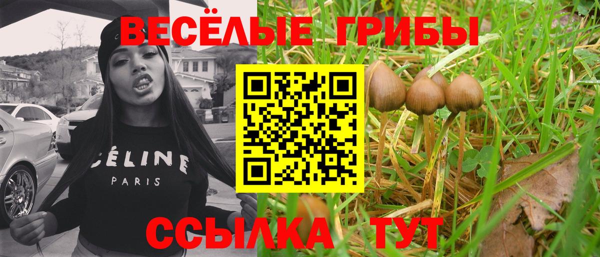 Галлюциногенные грибы ЛСД Холмск