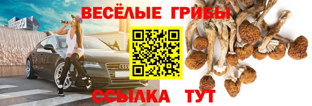 Холмск  Галлюциногенные грибы мицелий  Вход с VPN 